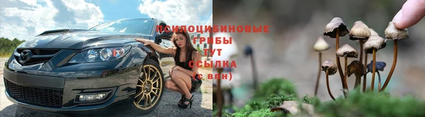 стаф Армянск