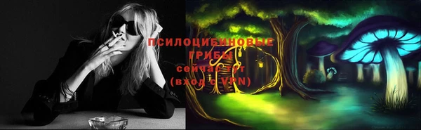 крисы Аркадак
